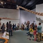Christian Museum Tours - Christian Museum Tours