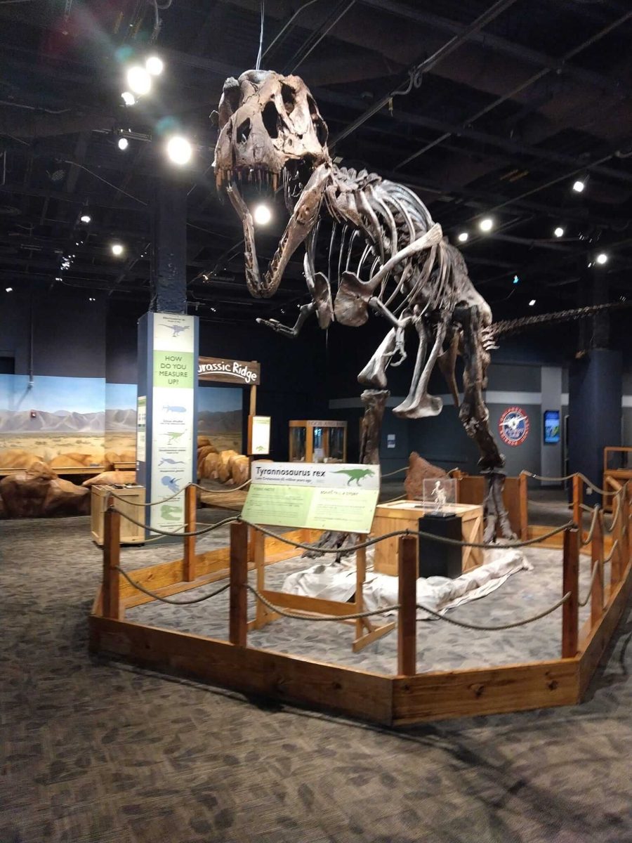 OSC_Trex (1) - Christian Museum Tours