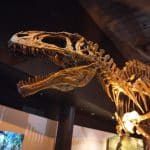 Christian Museum Tours - Christian Museum Tours