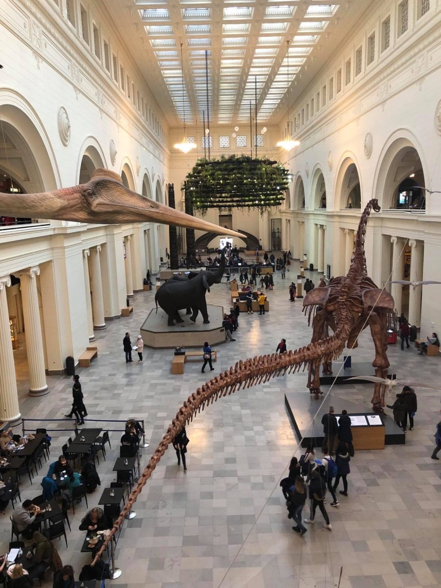 Chicago - Christian Museum Tours