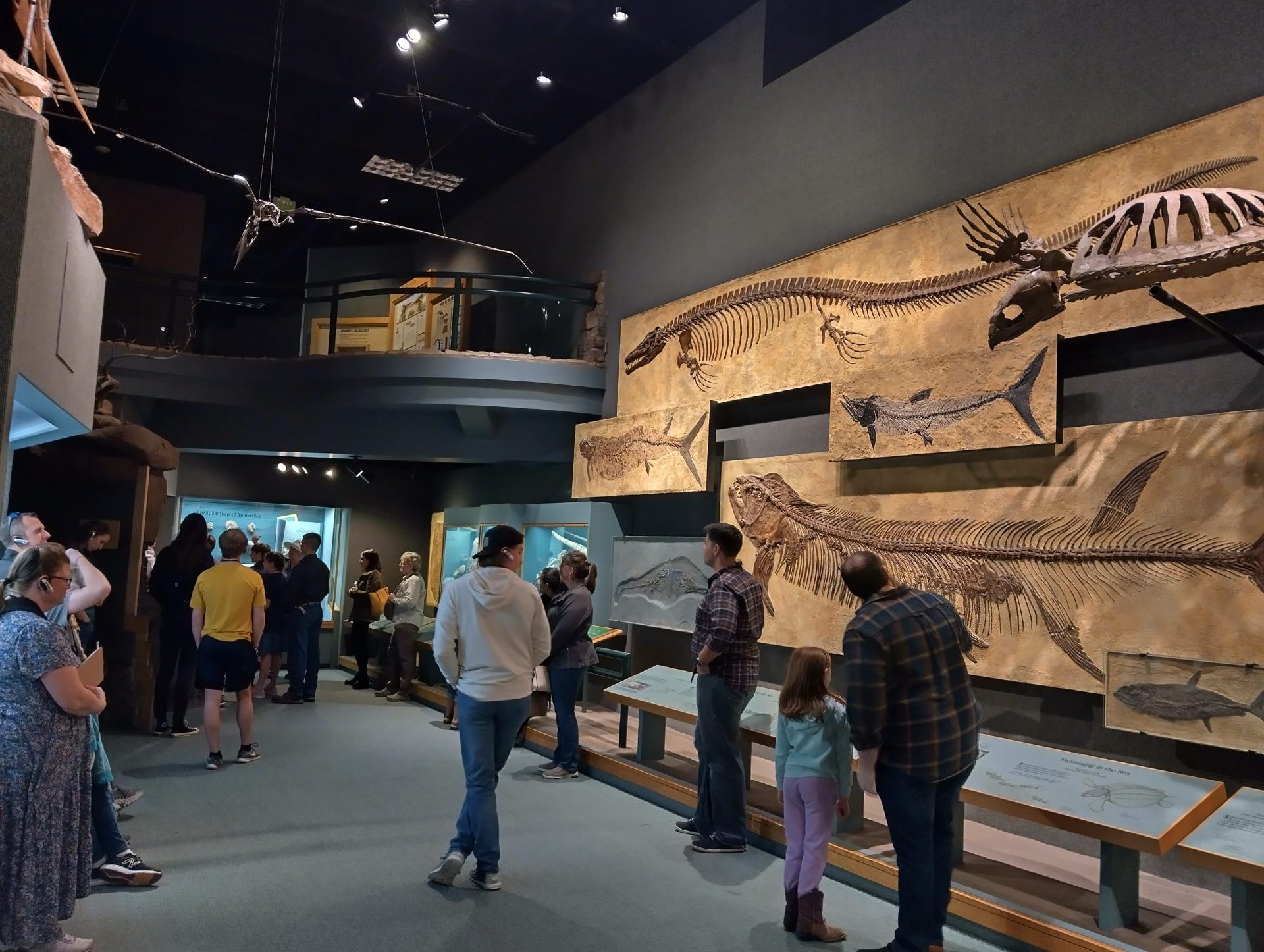IMG_20240226_123252_HDR