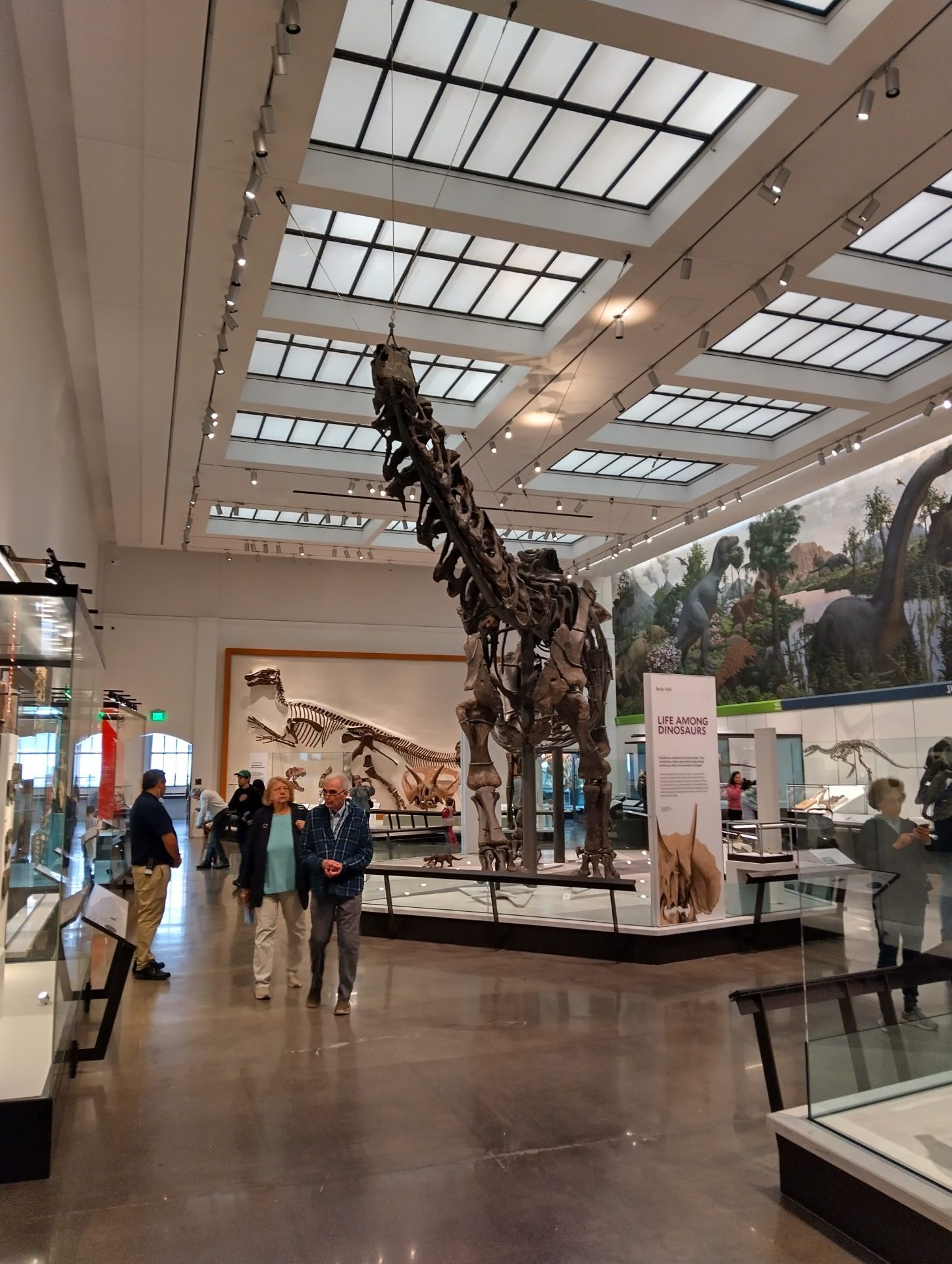 IMG_20240413_122312_HDR