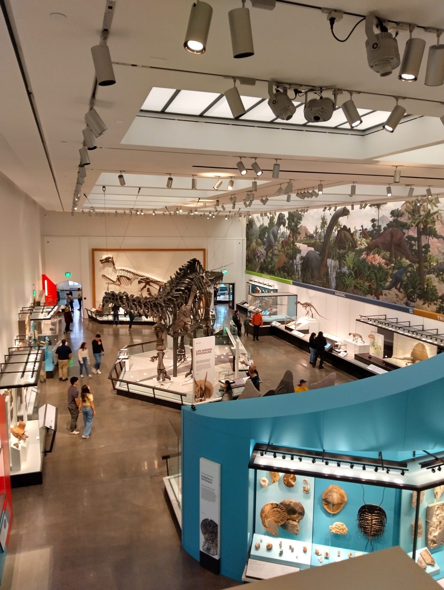 IMG_20240413_123219_HDR