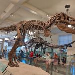 Christian Museum Tours - Christian Museum Tours
