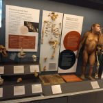 Christian Museum Tours - Christian Museum Tours