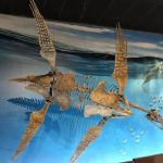 Christian Museum Tours - Christian Museum Tours