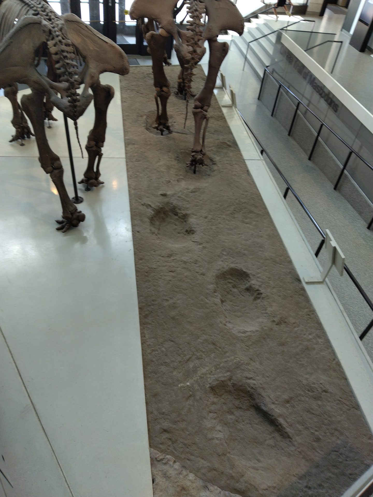 IMG_20240719_130537_MP - Christian Museum Tours