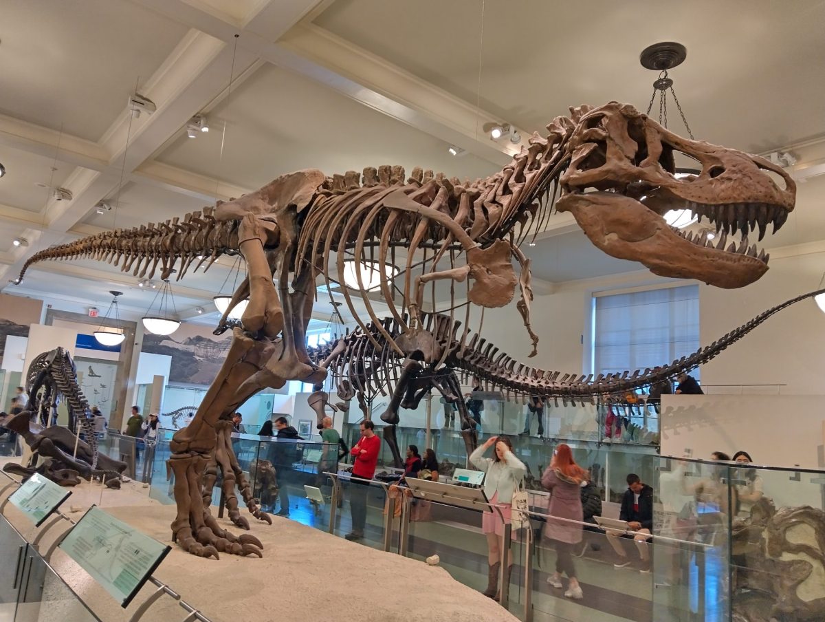 Unveiling History, Art, and Science: Real-World Application through Christian Museum Tours