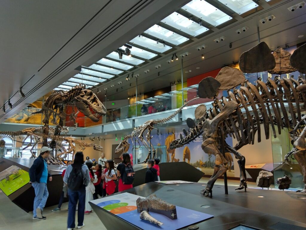 IMG_20240221_103701_HDR-e1748621801132