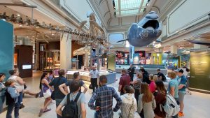 Tours in Washington, D.C.